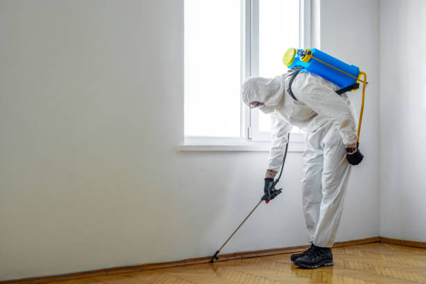 Flea Control Services in Lake Wisconsin, WI