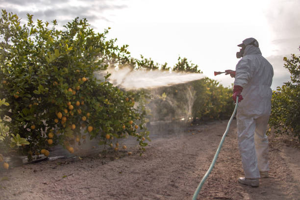 Best Flea Control Services  in Lake Sconsin, WI