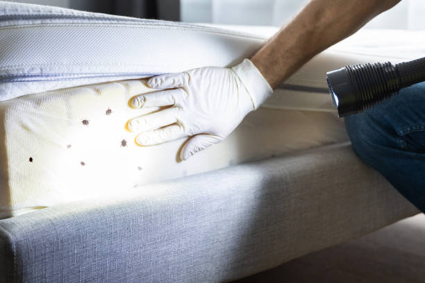 Best Termite Control Services  in Lake Sconsin, WI
