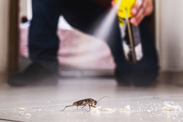 Best Wildlife Control Services  in Lake Sconsin, WI