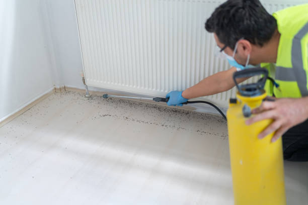 Best Pest Inspection Near Me  in Lake Sconsin, WI