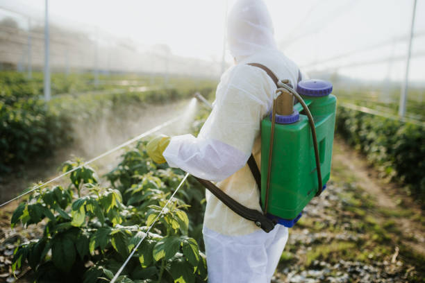Best Pest Control Treatment  in Lake Sconsin, WI